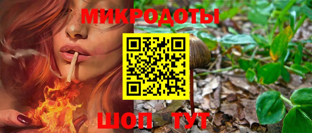Галлюциногенные грибы GOLDEN TEACHER  Псилоцибиновые грибы Magic Shrooms  Вход с VPN  Губкинский 